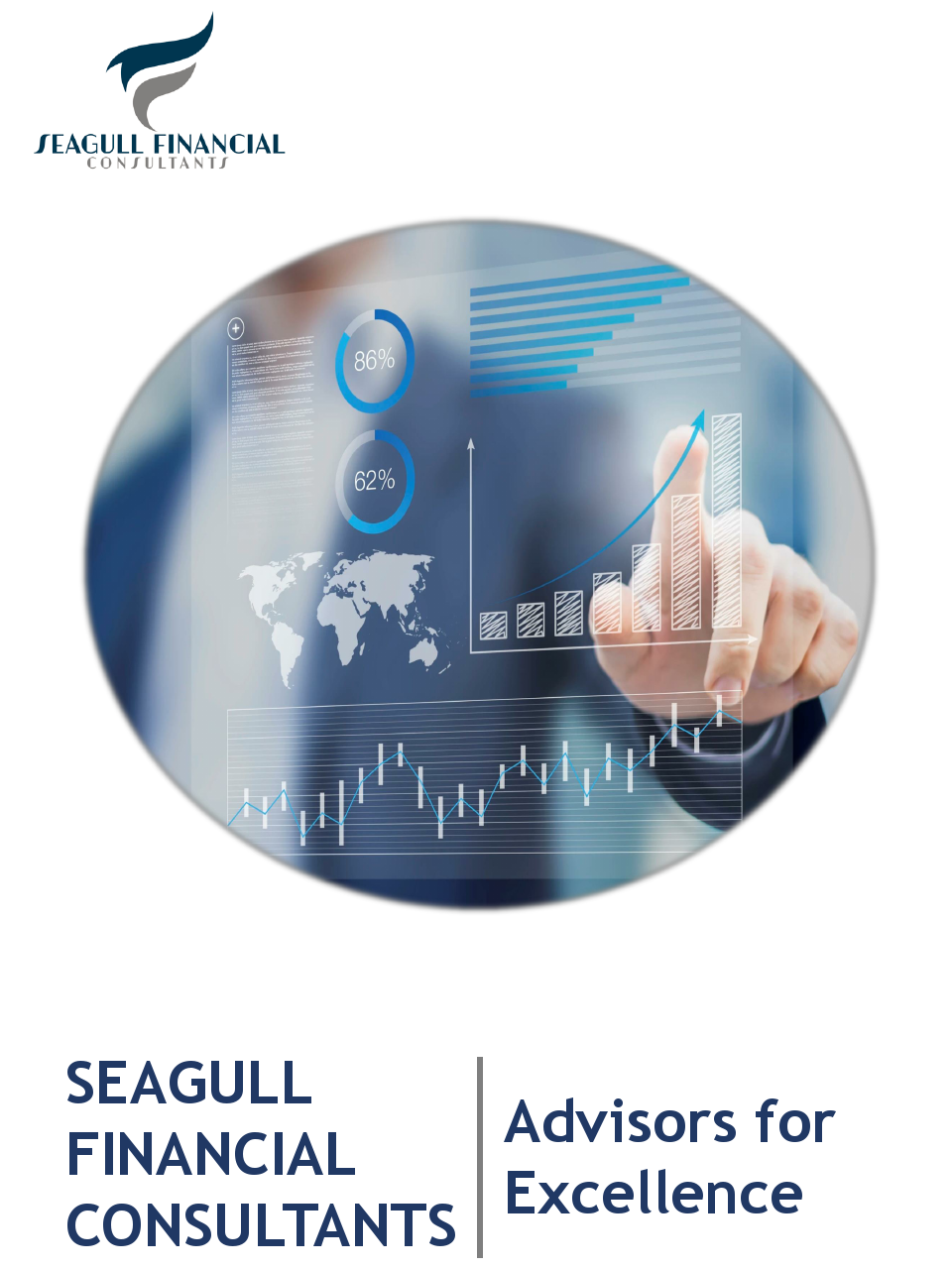 Seagull Financial Consultants - Profile.pdf