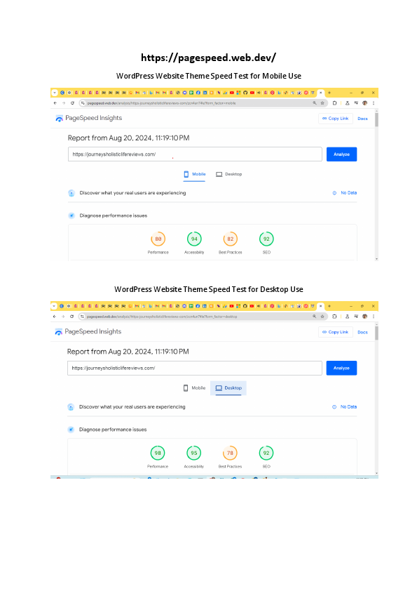 Review Past work.pdf