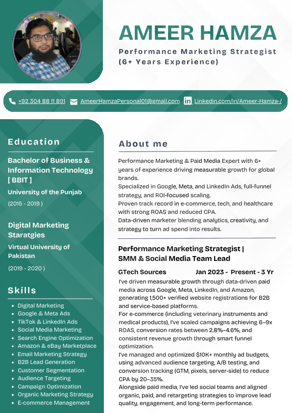 Ameer Hamza - Performance Marketing Strategist.pdf