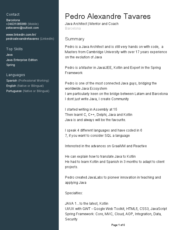 Pedro Alexandre Tavares CV.pdf