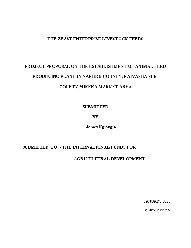 Proposal 1-The zeast Enterprise.pdf