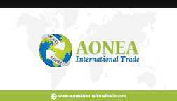 aonea_business card copy.pdf