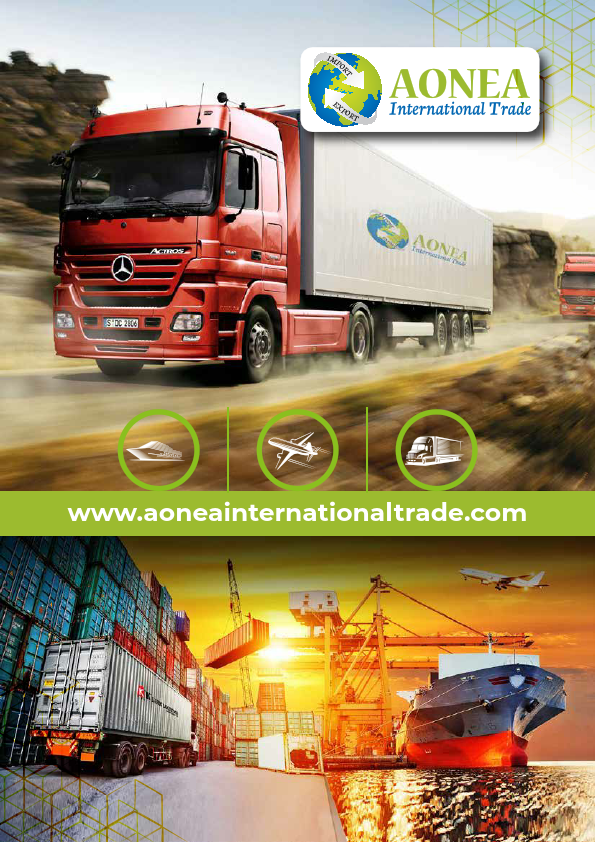 Aonea_flyer copy.pdf