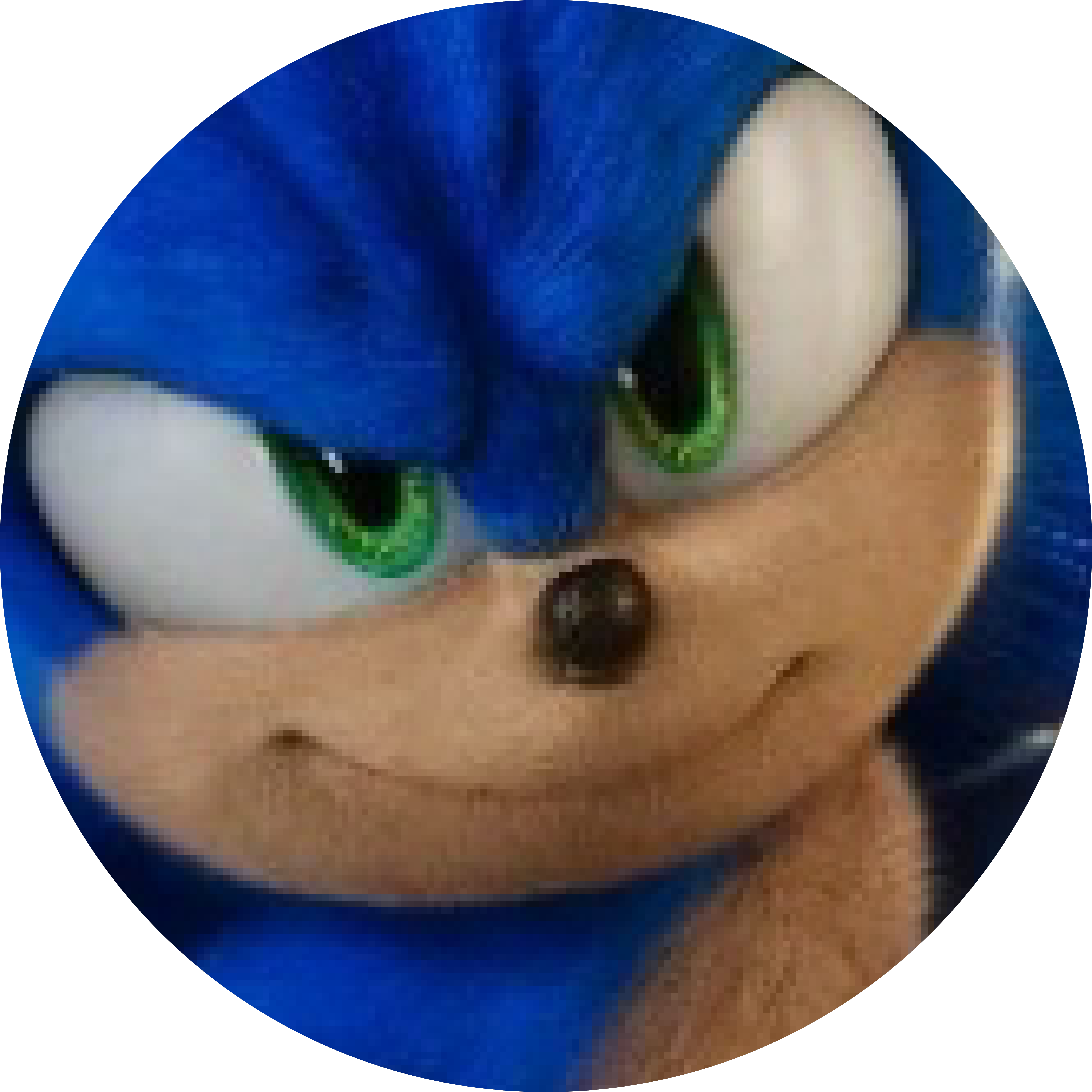 flex print 6x6 feet.pdf