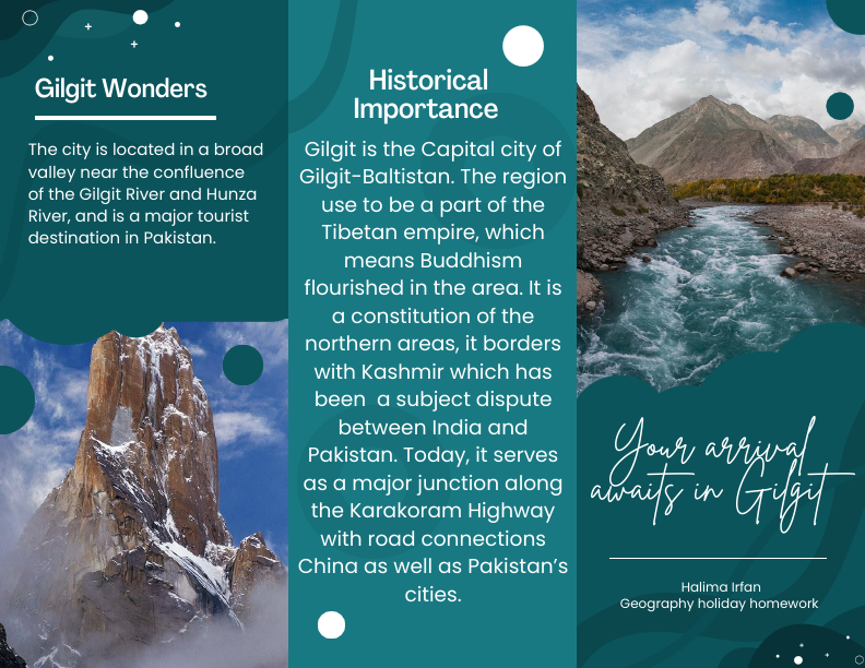 Geography Brochure.pdf