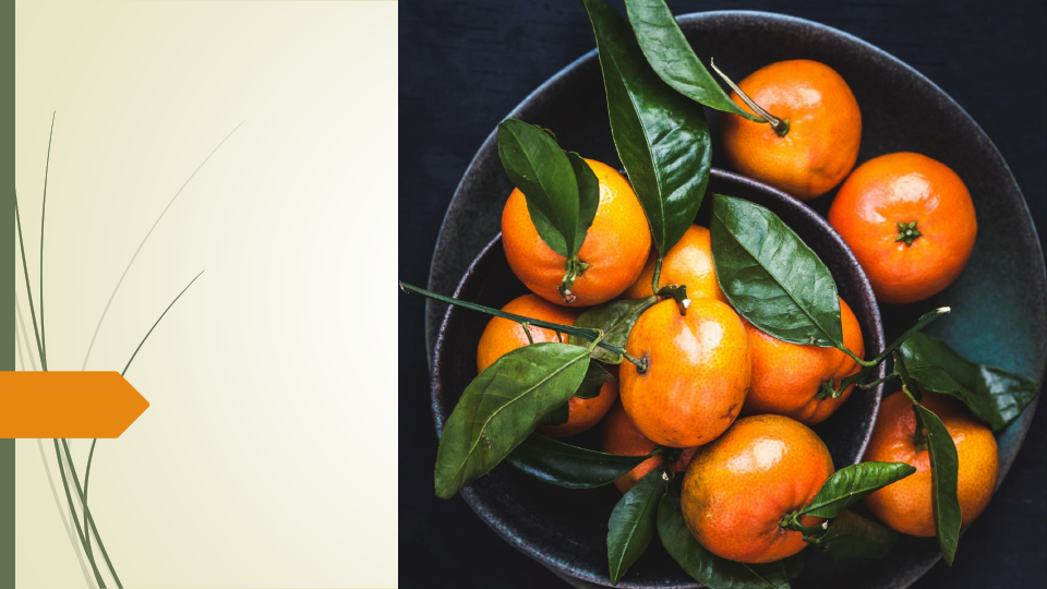 sample presentation.pdf