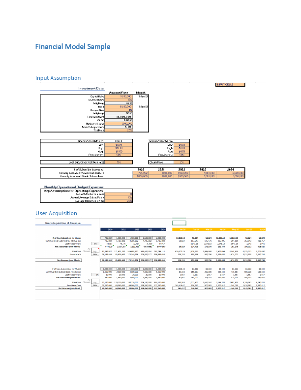 Ecommerce Financial Model Sample.pdf