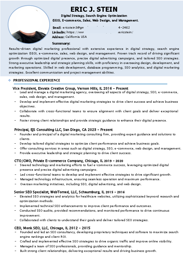 Eric J. Stein Digital Strategy, Search Engine Optimization.pdf