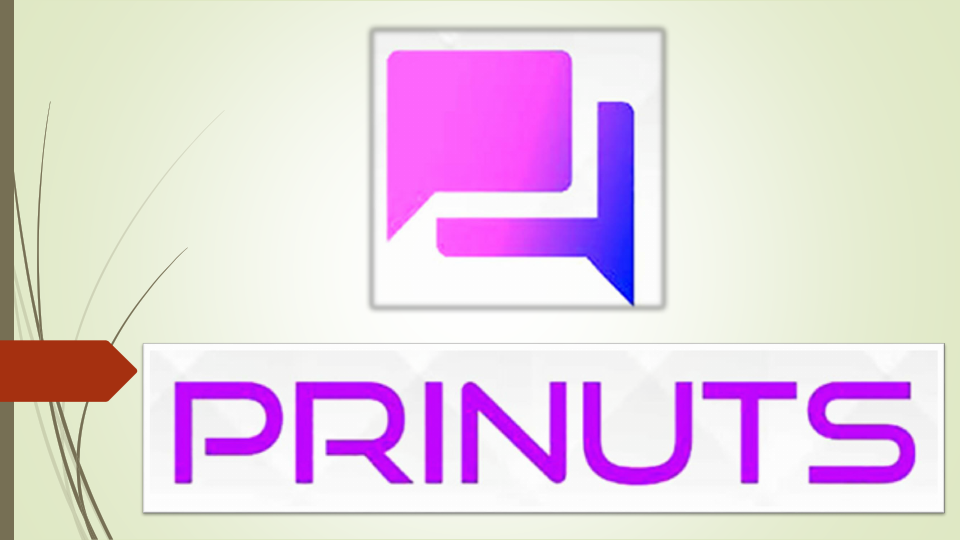 PORTFOLIO - PRINUTS ENTERPRISES YR 2025-26.pdf