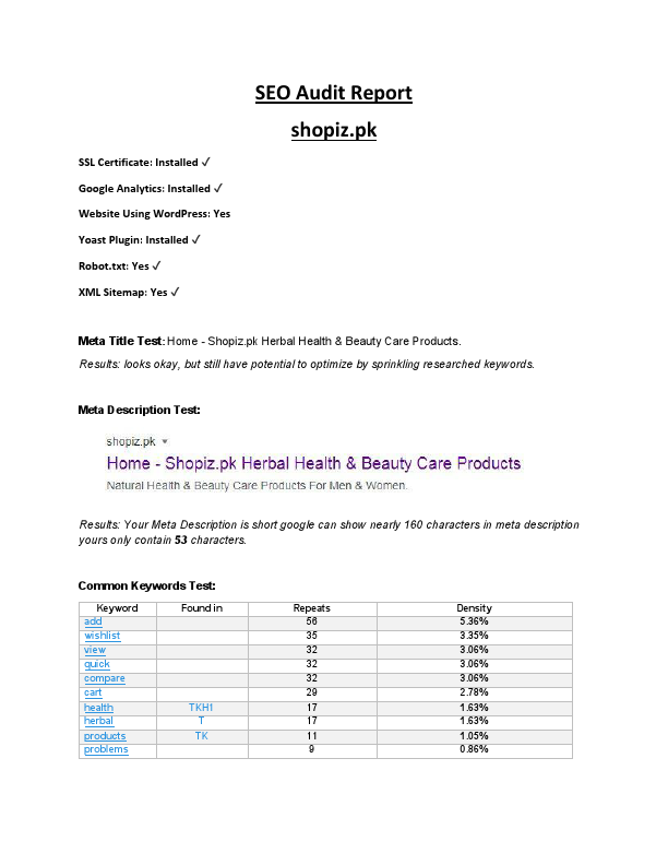 SEO Audit Report.pdf