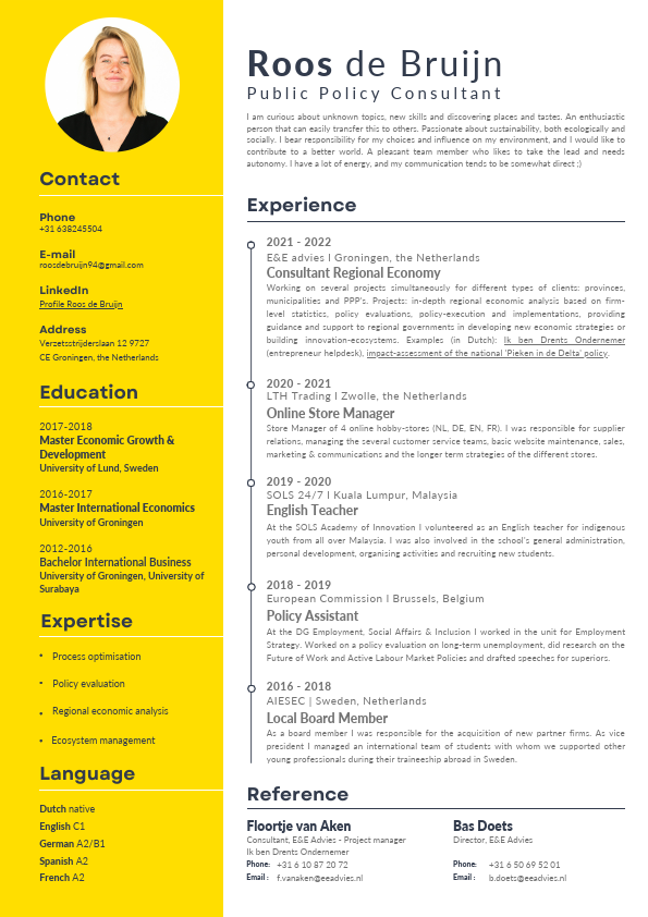 CV Roos de Bruijn.pdf