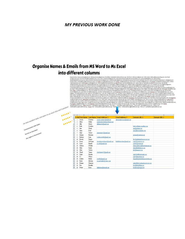 My Portfolio data entry .pdf