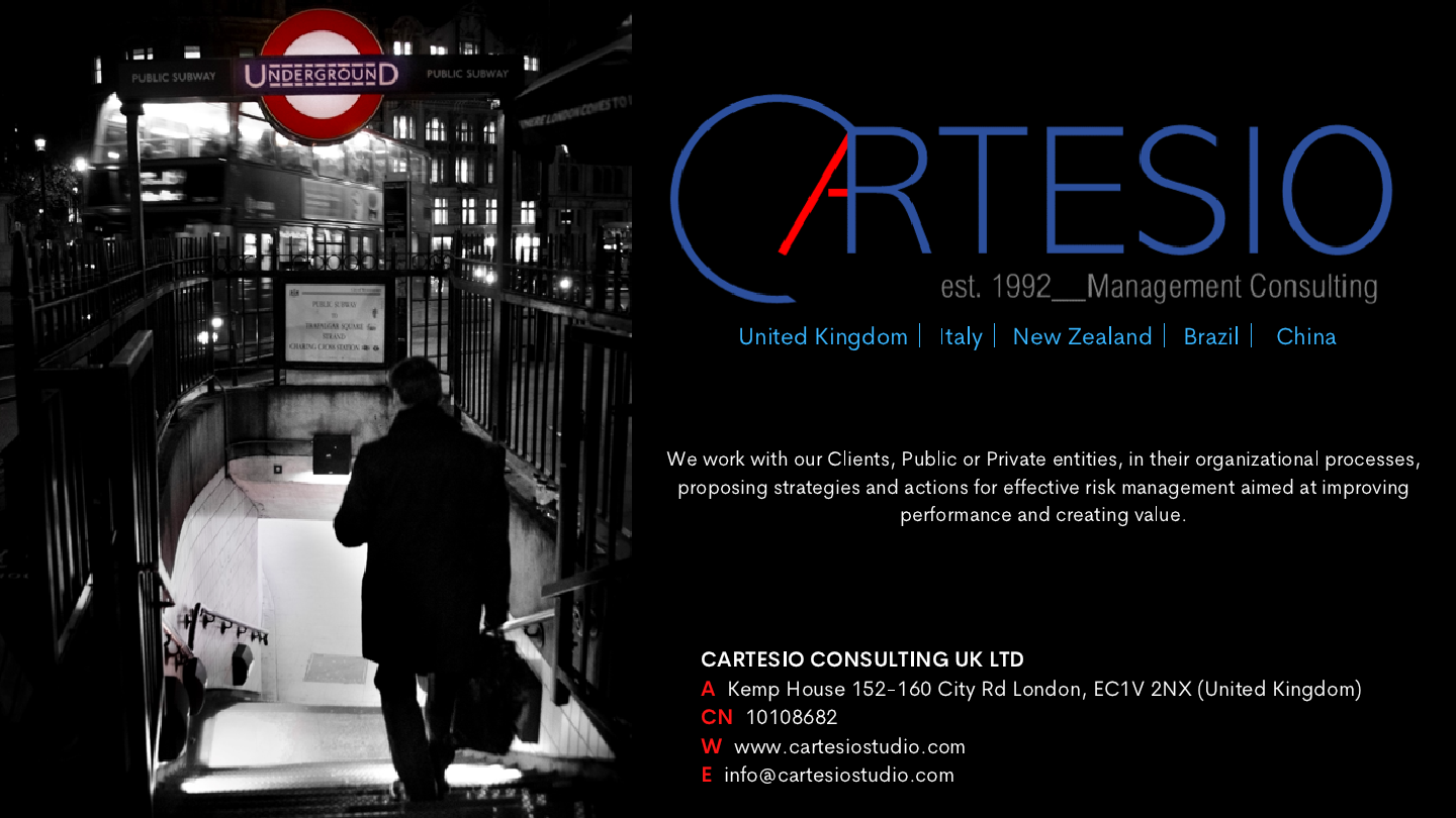 CARTESIO CONSULTING  profile  2021  eng.pdf