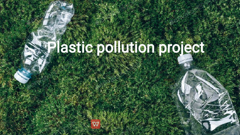 Plastic Project Group Results.pdf