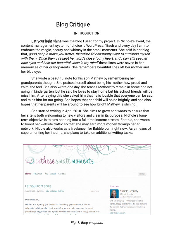 Social Web Blog Critique.pdf