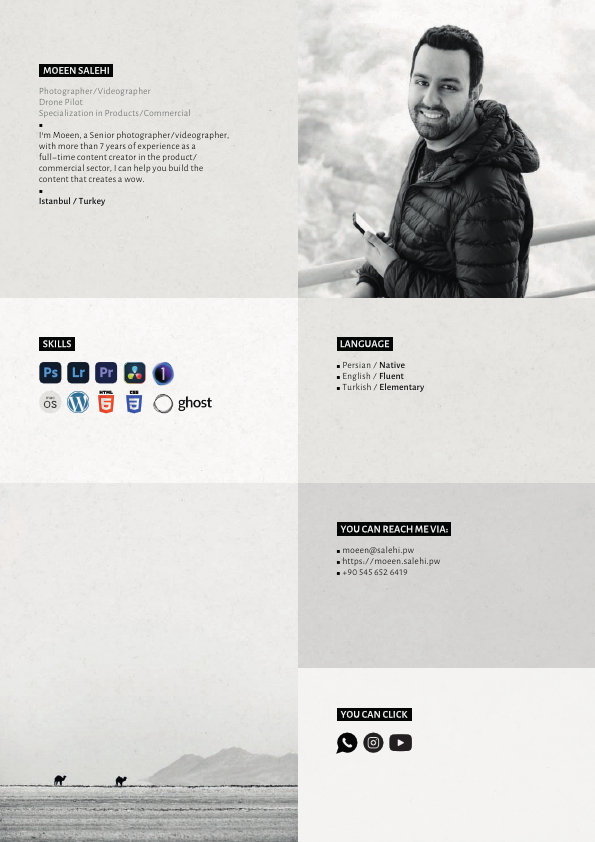 Moeen Salehi_compress.pdf