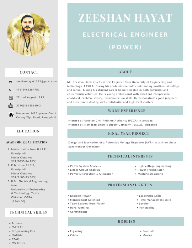fancy resume.pdf