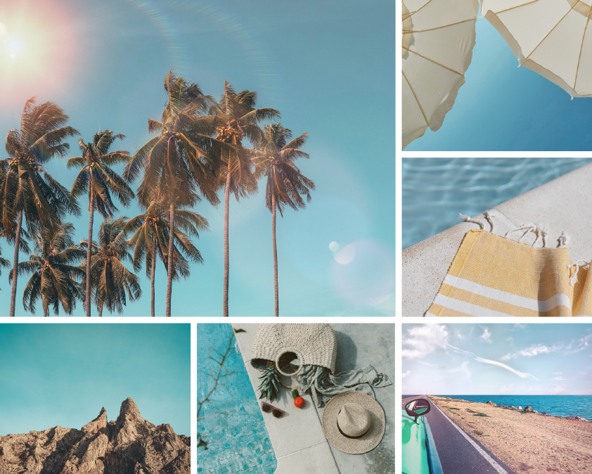 Social Media Management .pdf