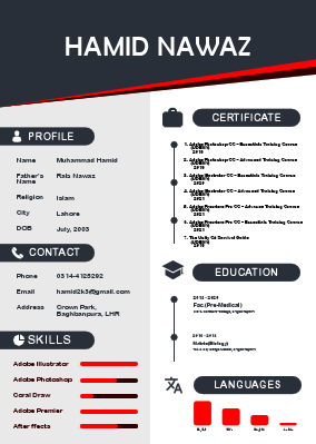 Cv extraordinary.pdf