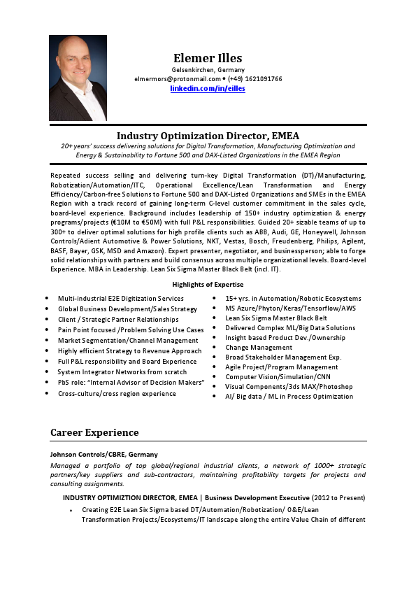 Elemer Illes CV .pdf