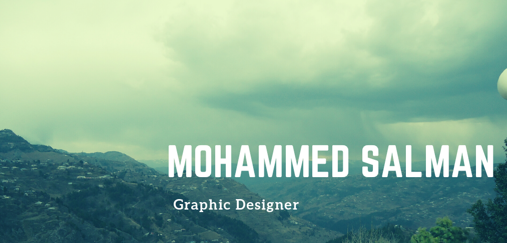 _Graphic Designer Portfolio .pdf