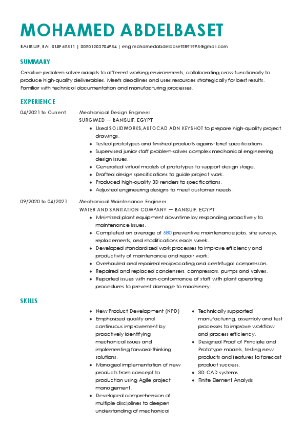 MOHAMED_Abdelbaset_CV.pdf