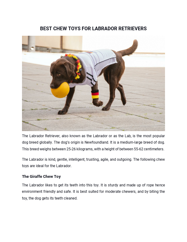 Best Chew Toys for Labrador Retrievers.pdf