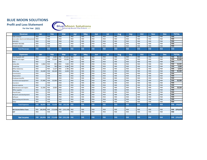 Profit & Loss Statement(BLUE MOON).pdf