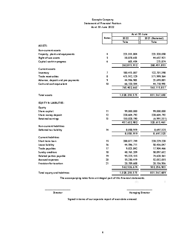 Financial Statements of Example Company.pdf