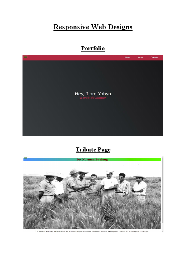 Frontend Development.pdf