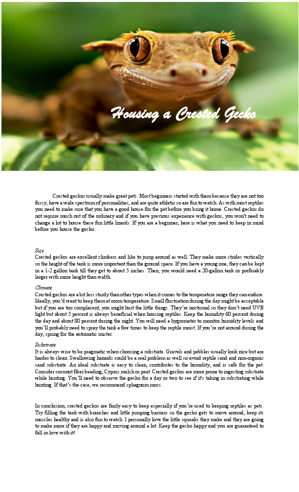 Housing a Crested Gecko.pdf