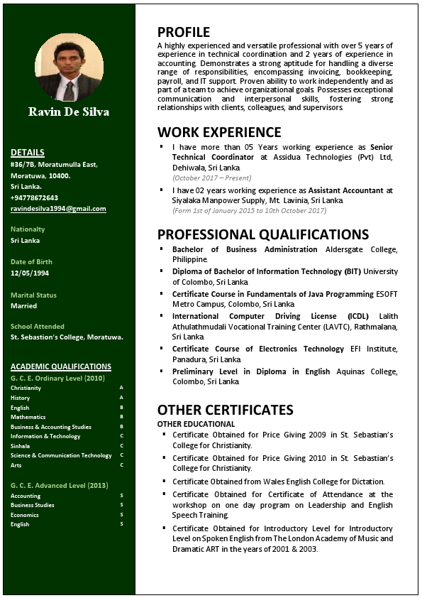 CV - Ravin (new).pdf