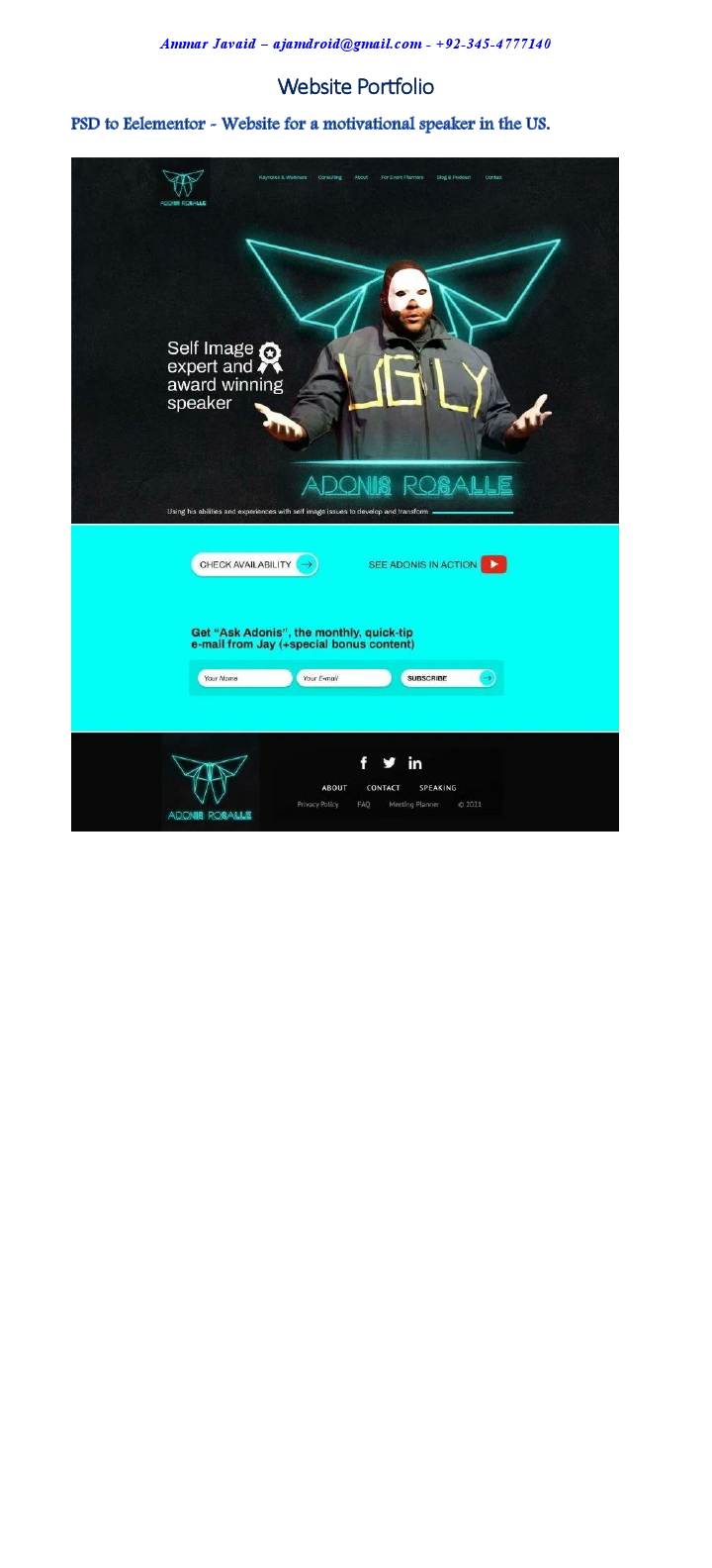 website portfolio.pdf