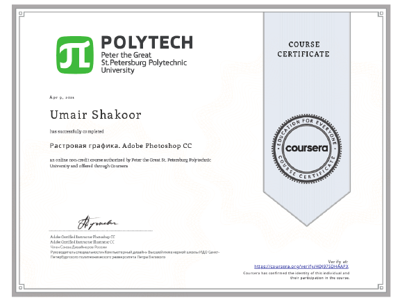 cert coursera + digiskills.pdf