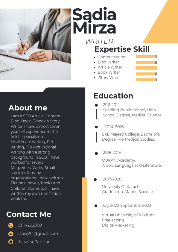 Professional CV Resume.pdf