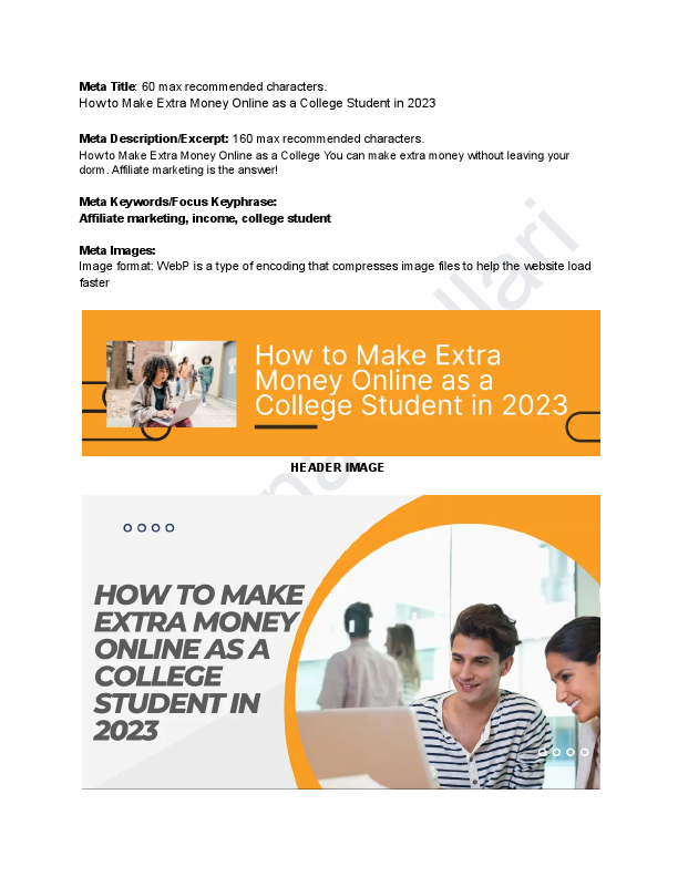 Portfolio_ How to Make Extra Money Online as a College Student in 2023 (1).pdf