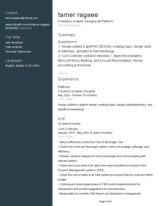 Tamer Ragaee _ LinkedIn Profile.pdf