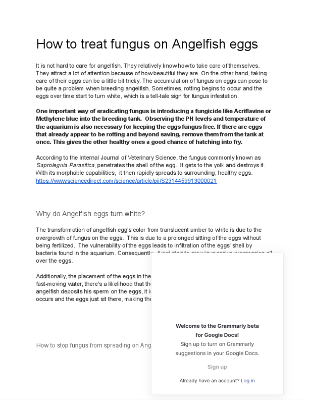 How to treat fungus on Angelfish eggs - Google Docs.pdf