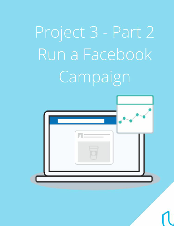 SA Op1 P3 Sandbox - Part 2_ Project facebook campaign ZT.pdf