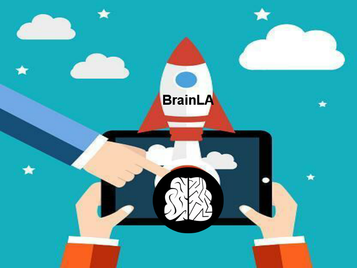 BrainLA Pvt Ltd.pdf
