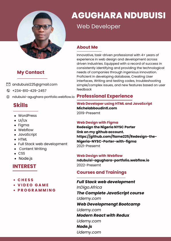 NDUBUISI AGUGHARA CV.pdf