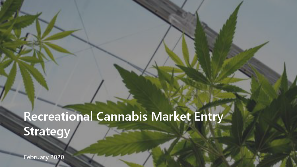 Market Entry Investor Pitch.pdf