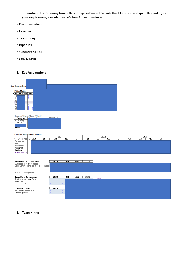 Tech startup _SaaS Financial Model Screenshots.pdf