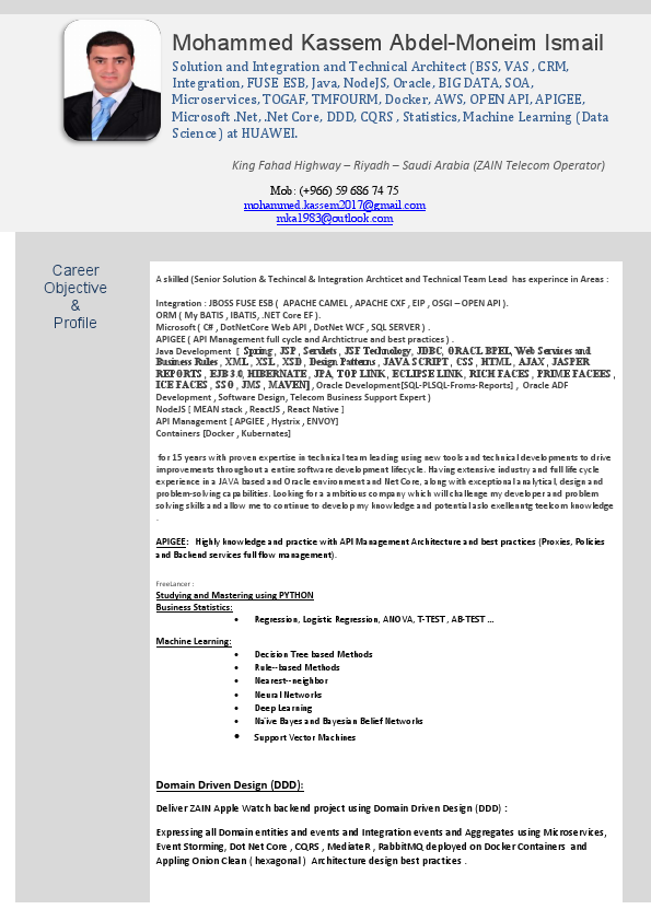 Mohammed Kassem - Solution Techncial Integration Architect - Ver6.pdf
