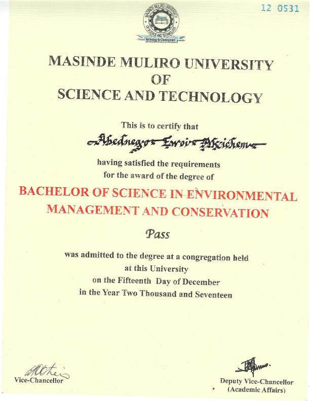 undergraduate cert.pdf