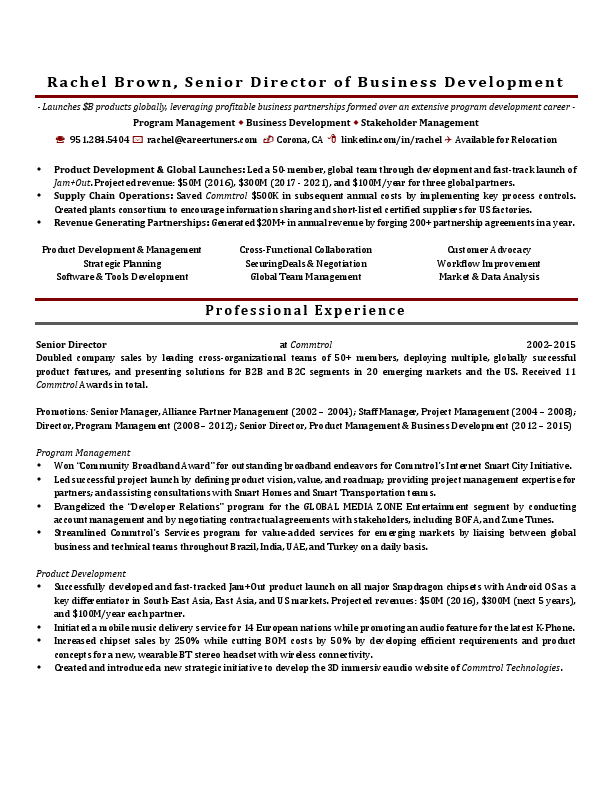 program-management-and-business-development-executive.pdf