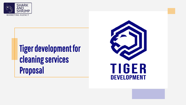 Tiger Cleaning Service.pdf