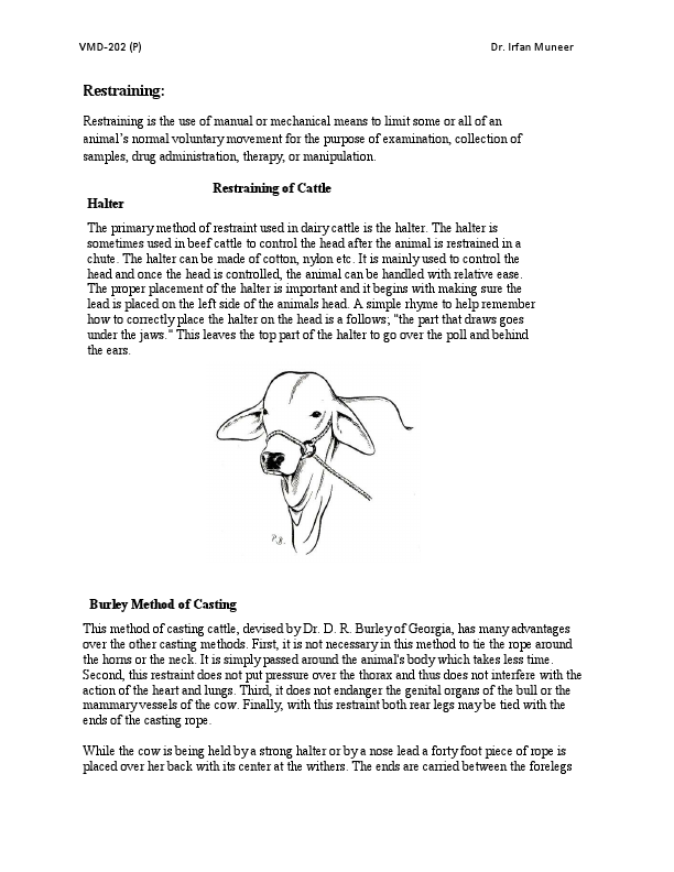 Restraining Techniques lect.pdf