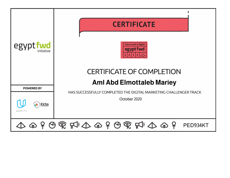 Digital Marketing Challenge Track - Udacity.pdf