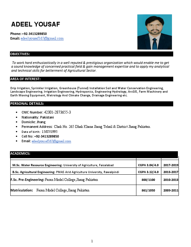 Adeel cv.pdf